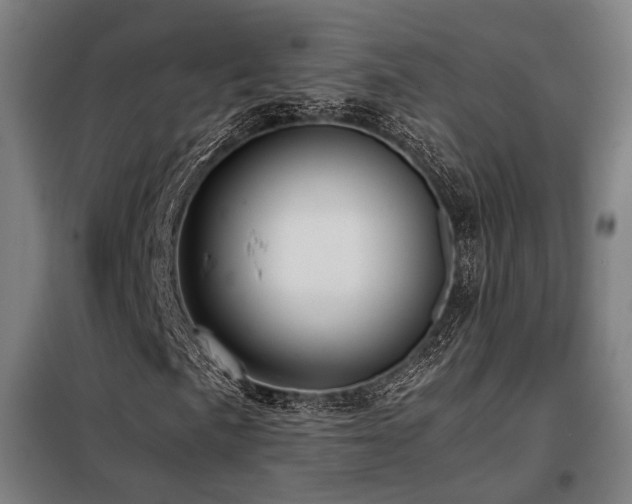 X0000098101057200804041238