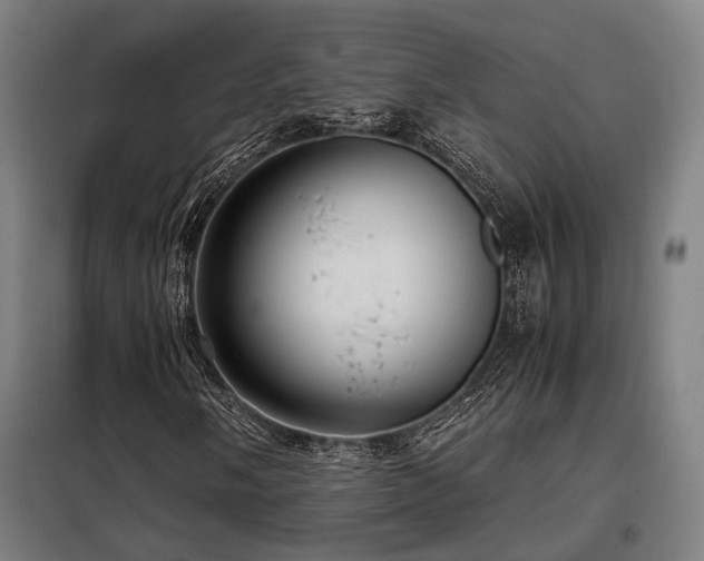 X0000098101058200804041238