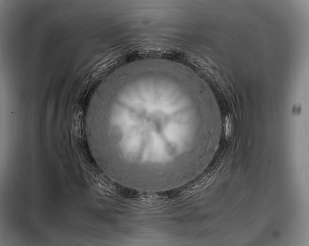 X0000098101059200804041238