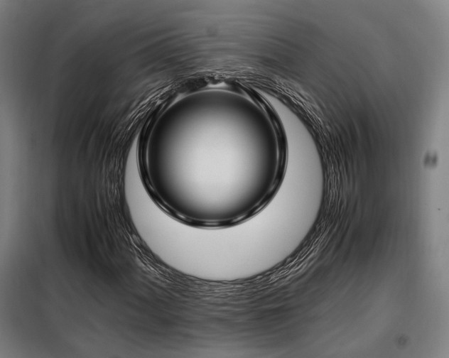 X0000098101060200804041238