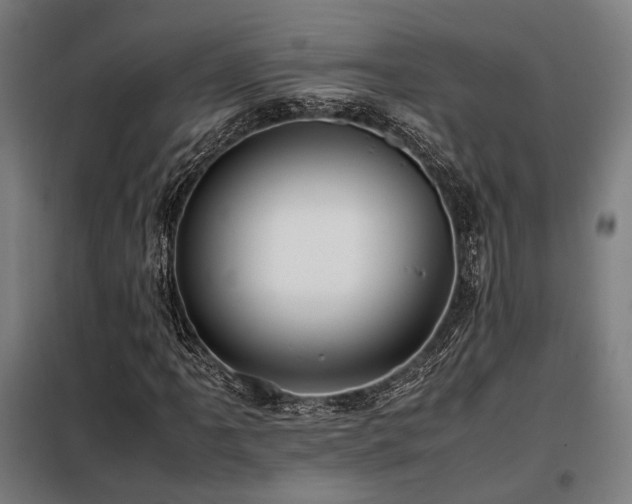 X0000098101061200804041238