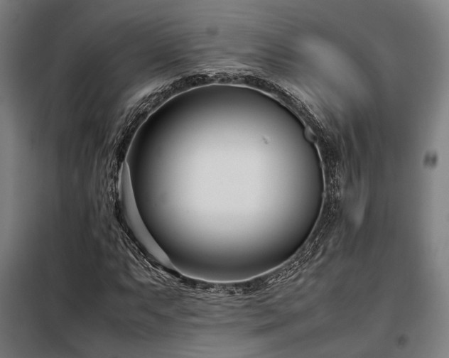 X0000098101063200804041238