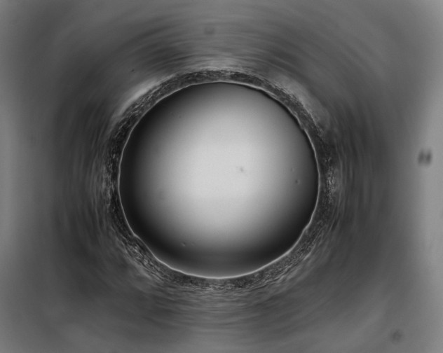 X0000098101064200804041238