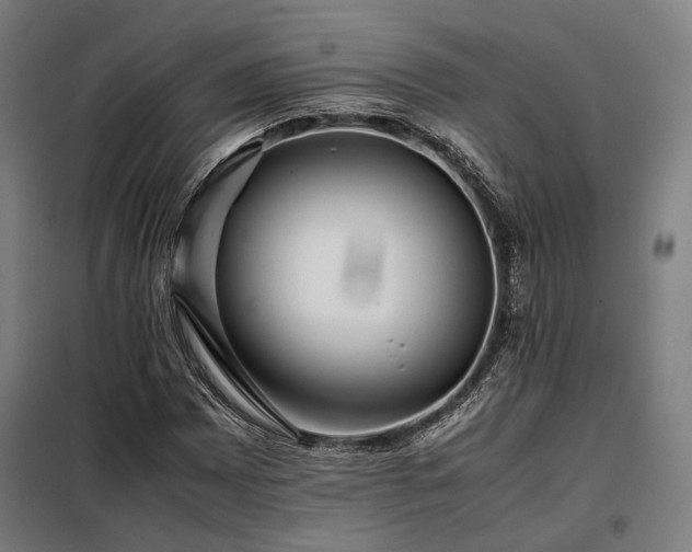X0000098101065200804041238