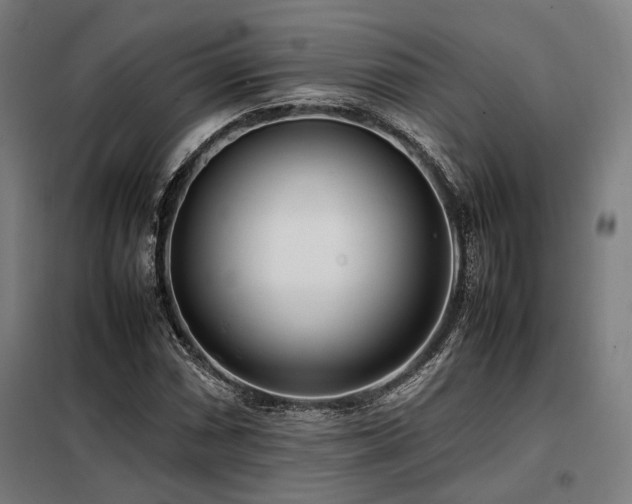 X0000098101066200804041238