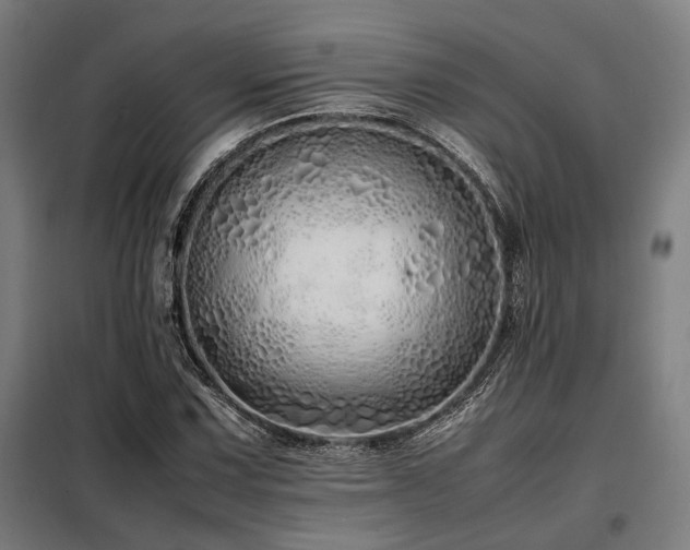 X0000098101067200804041238