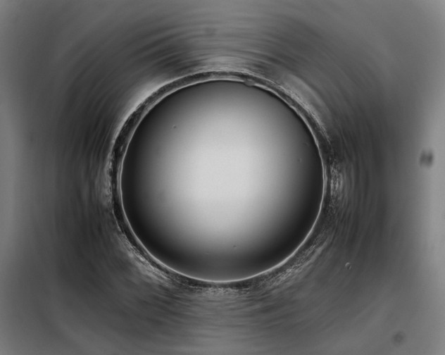 X0000098101068200804041238