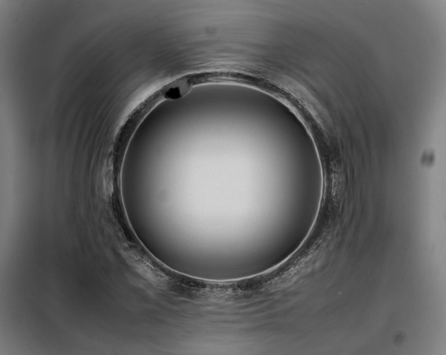 X0000098101069200804041238