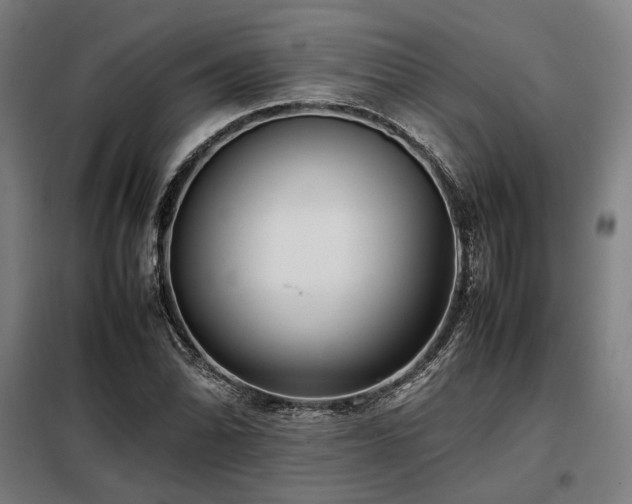 X0000098101070200804041238