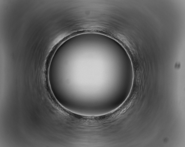 X0000098101071200804041238