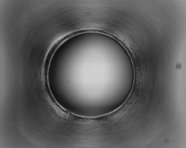 X0000098101072200804041238