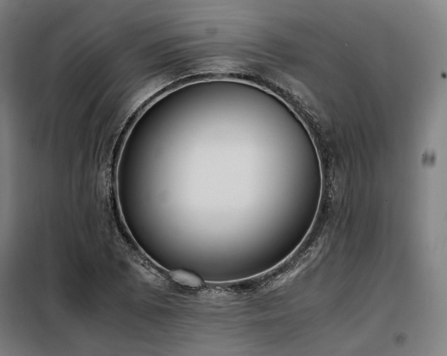 X0000098101073200804041238