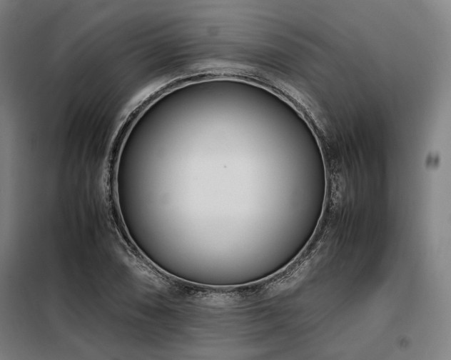 X0000098101074200804041238