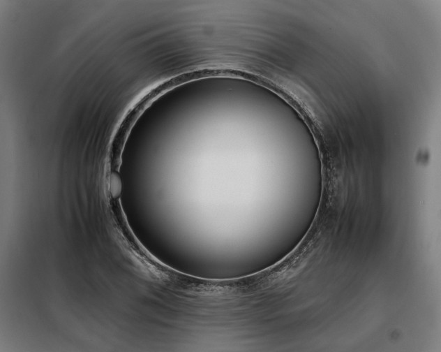 X0000098101076200804041238