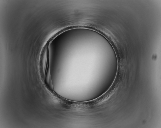 X0000098101077200804041238