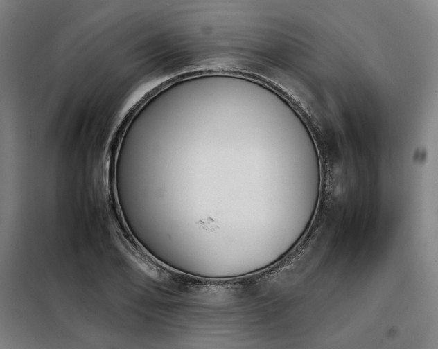 X0000098101078200804041238