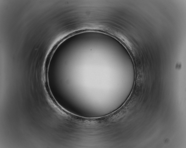 X0000098101080200804041238