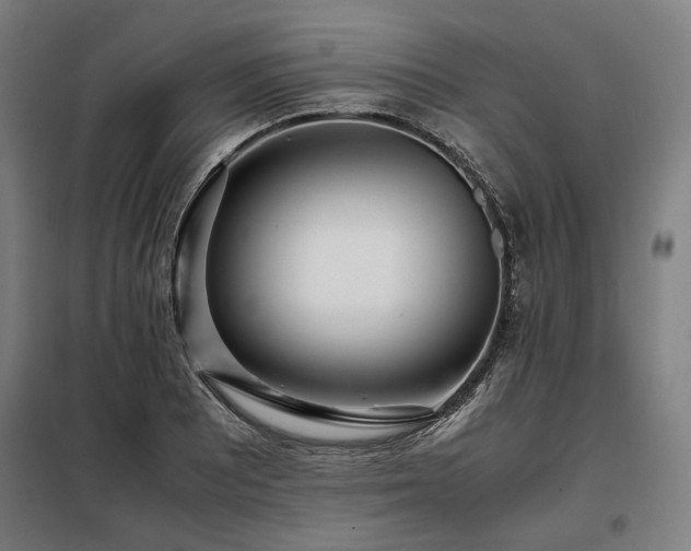 X0000098101081200804041238