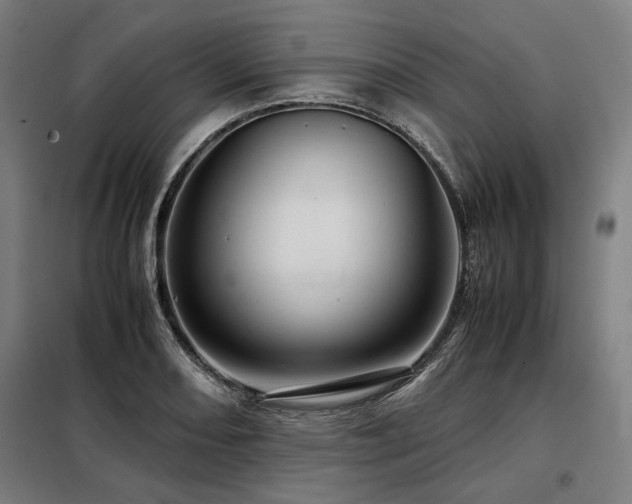X0000098101082200804041238