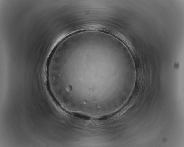 X0000098101083200804041238