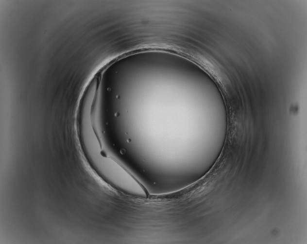 X0000098101084200804041238