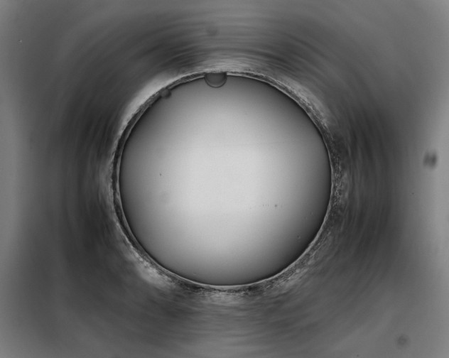 X0000098101086200804041238