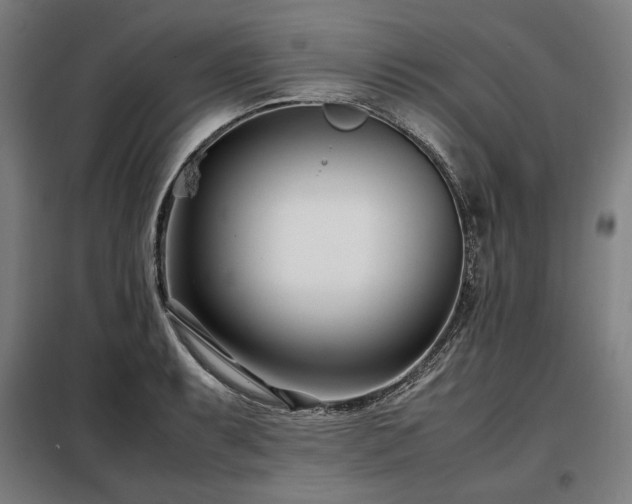 X0000098101087200804041238