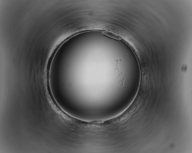 X0000098101088200804041238