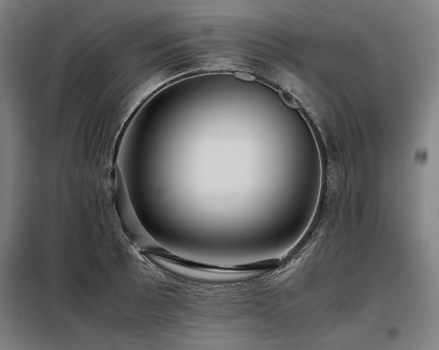 X0000098101089200804041238