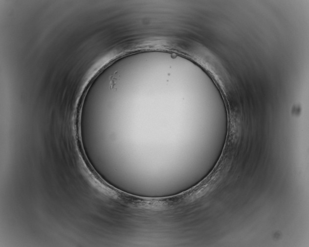 X0000098101090200804041238