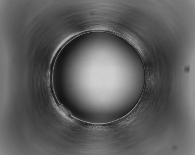 X0000098101092200804041238