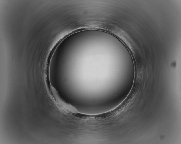 X0000098101093200804041238