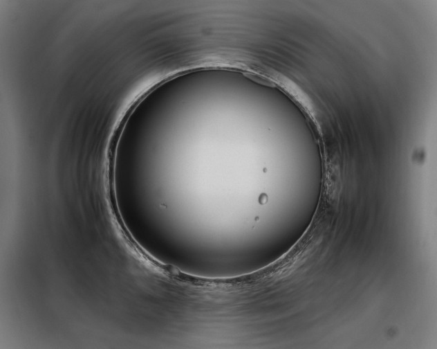 X0000098101096200804041238