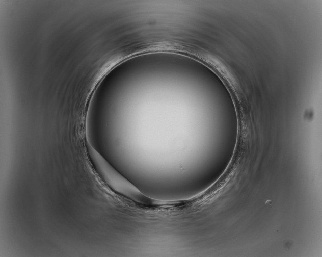 X0000098101097200804041238