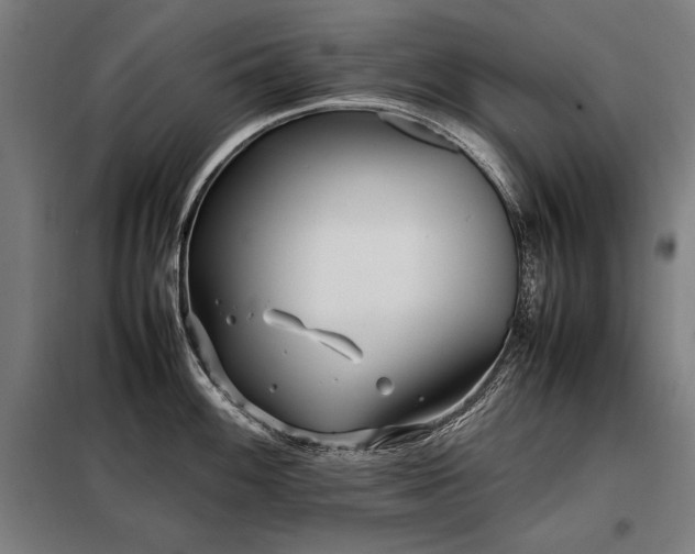 X0000098101100200804041238