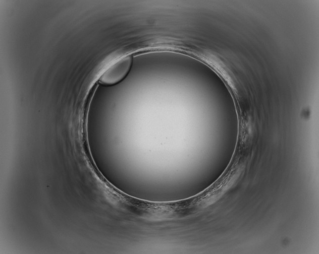 X0000098101101200804041238
