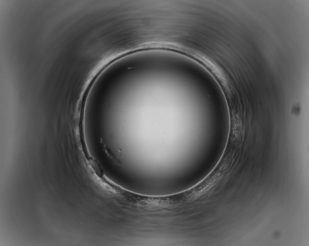 X0000098101102200804041238