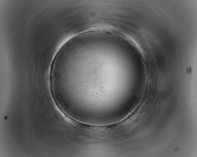 X0000098101103200804041238