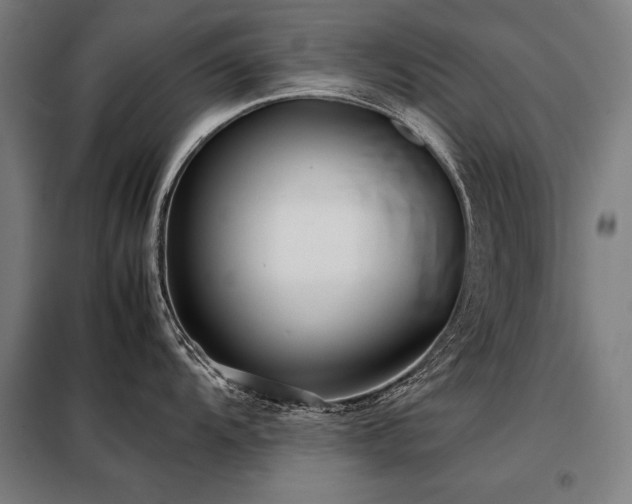 X0000098101104200804041238