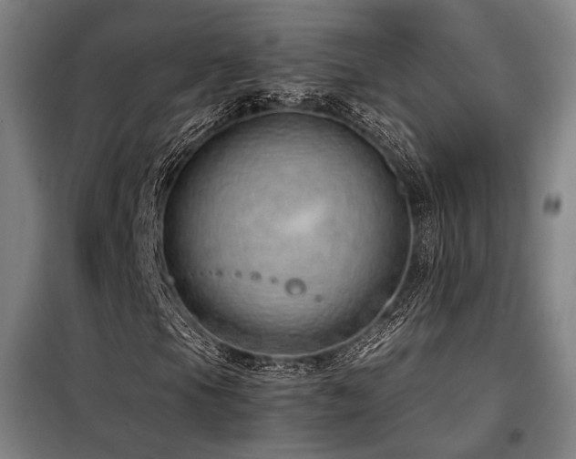 X0000098101105200804041237