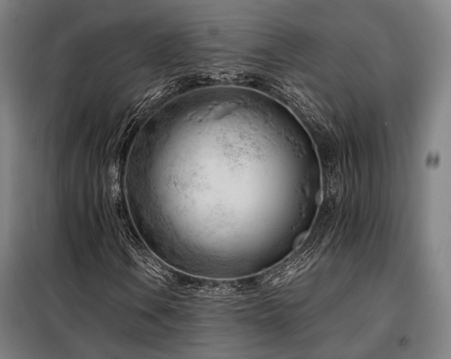 X0000098101106200804041237