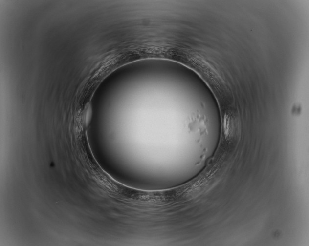 X0000098101107200804041237