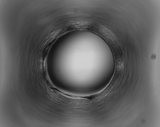 X0000098101108200804041237