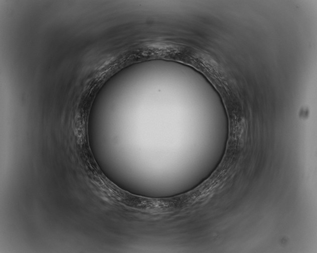 X0000098101109200804041237