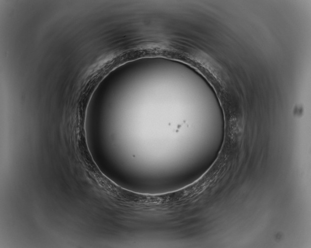 X0000098101111200804041237