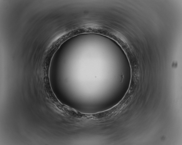X0000098101112200804041237