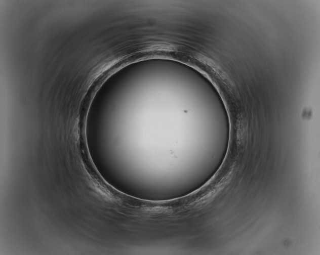 X0000098101113200804041237