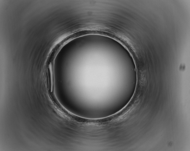 X0000098101114200804041237