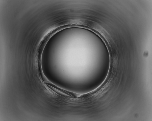 X0000098101115200804041237
