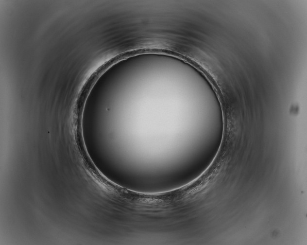 X0000098101119200804041237